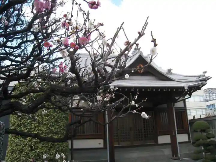 龍光院(東京都)