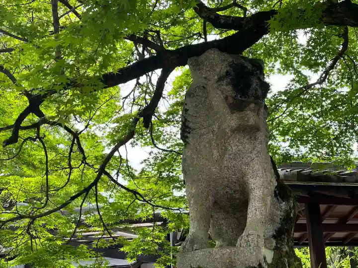 松尾大社(京都府)