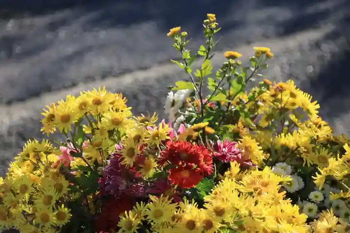 熊野福藏神社の手水舎