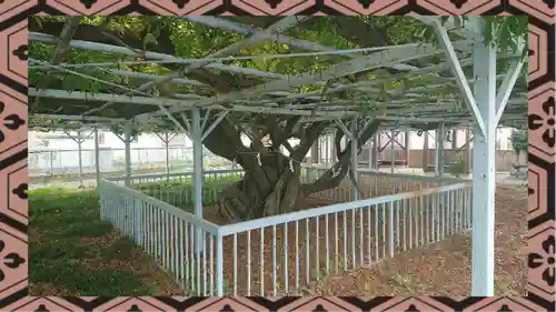 菖蒲神社(埼玉県)
