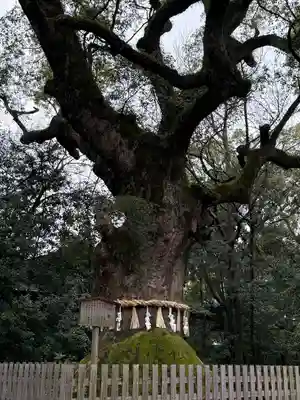 熱田神宮(愛知県)