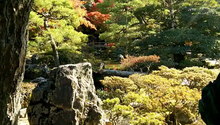 慈照寺(慈照禅寺・銀閣寺)の庭園