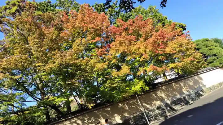 霊源院(京都府)