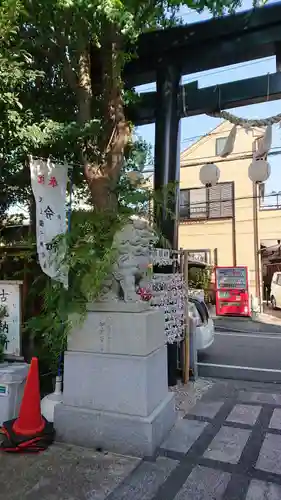 菊名神社の狛犬