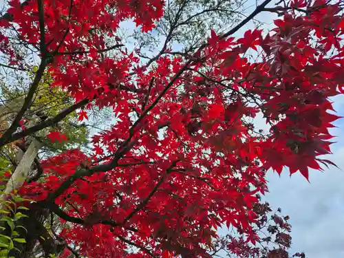輪王寺(栃木県)