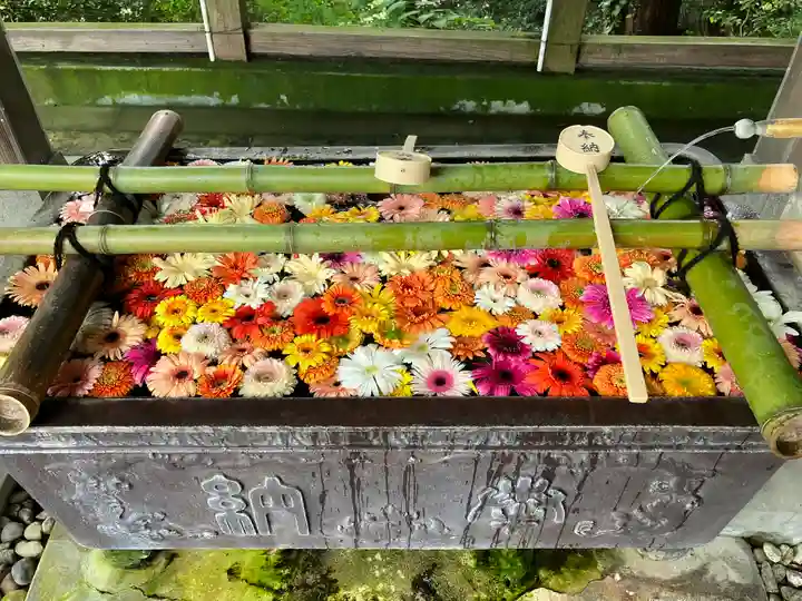 唐澤山神社(栃木県)