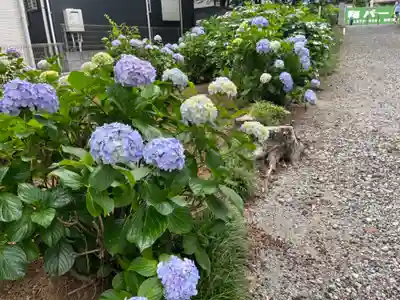 吉祥寺(埼玉県)