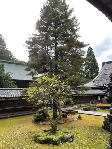 永平寺(福井県)