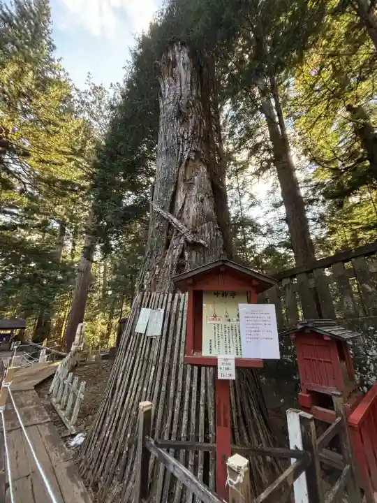 日光東照宮(栃木県)
