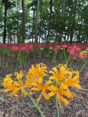 祖光院(千葉県)