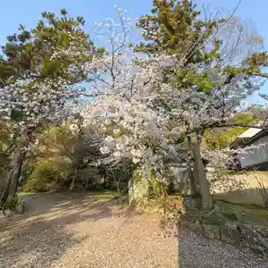 伊勢の国 四天王寺(三重県)(2025年04月07日(月) 11時36分22秒投稿)