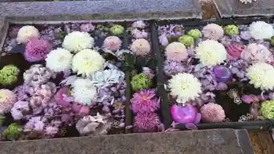 長野縣護國神社の手水舎