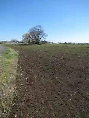 神明神社(千葉県)