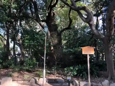 高座結御子神社（熱田神宮摂社）のその他建物