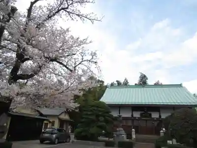 真光寺(千葉県)