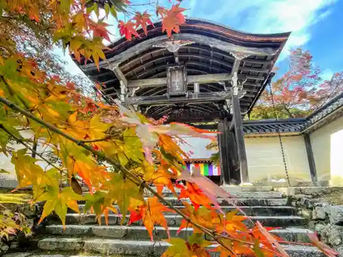 二尊院の山門・神門