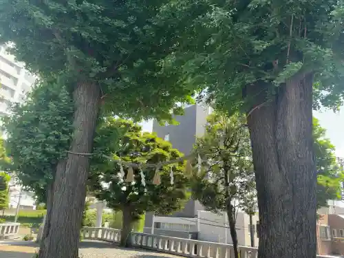 代田八幡神社(東京都)