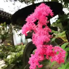 豊景神社の自然