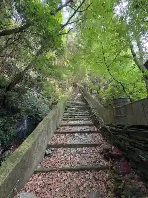 仙龍寺(愛媛県)