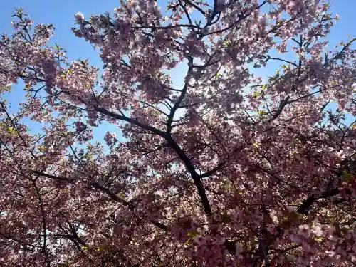 東運寺の{uncategorized: "未分類", other: "その他", undefined: "問題あり", building: "その他建物", grave: "お墓", sacred_gate: "鳥居", guardian: "狛犬", statue: "像", buddha: "仏像", history: "歴史", nature: "自然", garden: "庭園", animal: "動物", pagoda: "塔", temizu: "手水舎", mountain_gate: "山門・神門", sanctuary: "本殿・本堂", subordinate: "末社・摂社", art: "芸術", scenery: "景色", jizo: "地蔵", ema: "絵馬", goshuin: "御朱印", omikuji: "おみくじ", items: "授与品その他", amulet: "お守り", goshuincho: "御朱印帳", eats: "食事", festival: "お祭り", votive_dance: "神楽", shichigosan: "七五三参", wedding: "結婚式", experience: "体験その他", initially: "初詣", around: "周辺", anti_infection: "感染症対策"}