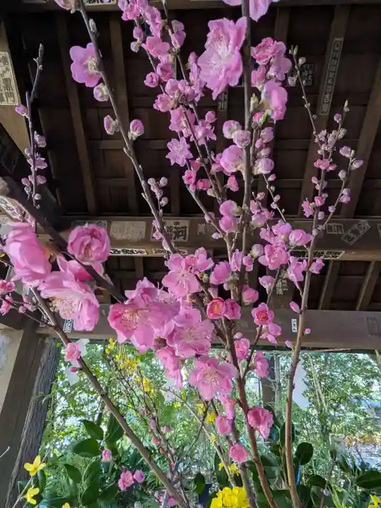 赤坂氷川神社(東京都)