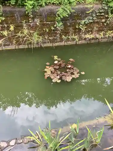 市原稲荷神社の庭園