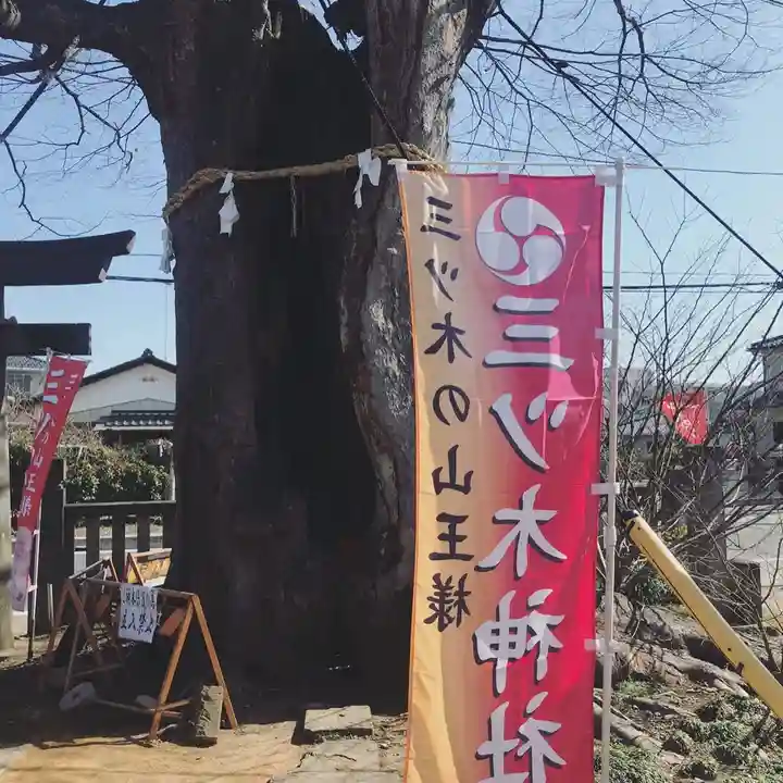 三ツ木神社の自然
