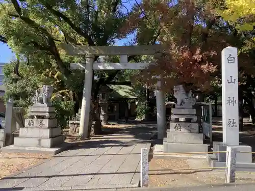 白山神社の鳥居