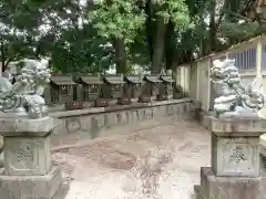 小木田神社の狛犬