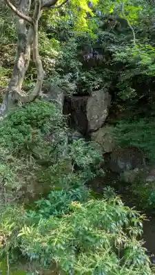 法金剛院(京都府)