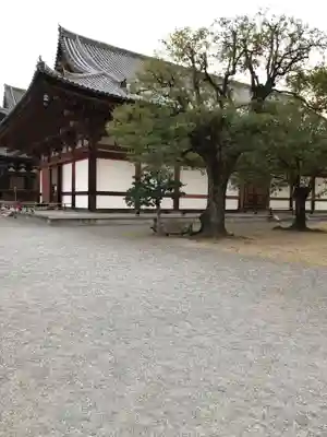東寺（教王護国寺）(京都府)