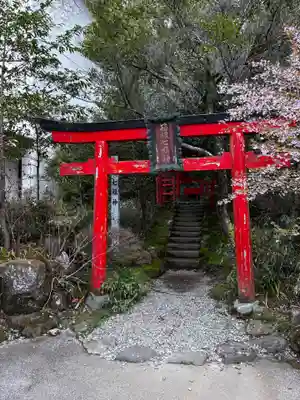 箱根神社の鳥居