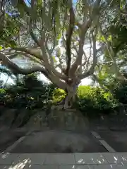 酒列磯前神社の景色