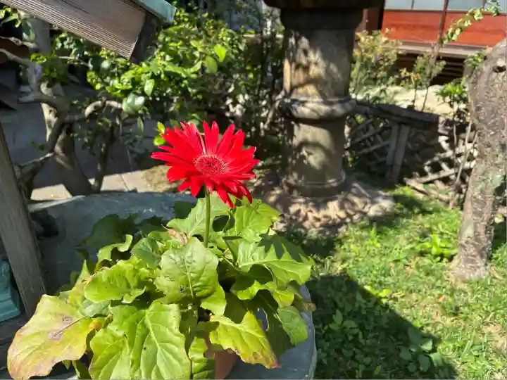 香雪院(京都府)