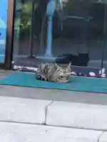 宗善寺(東京都)