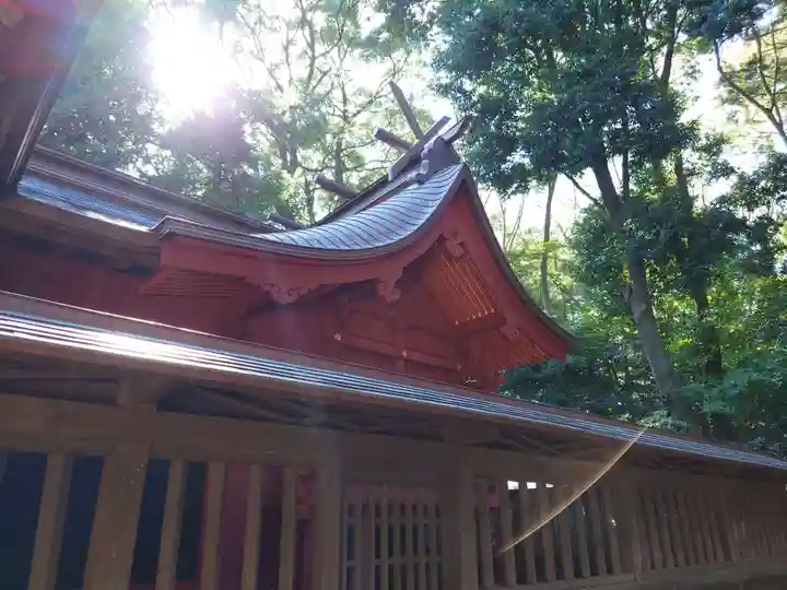 氷川女體神社の本殿・本堂