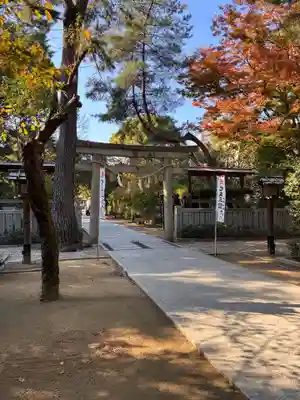辛國神社の鳥居