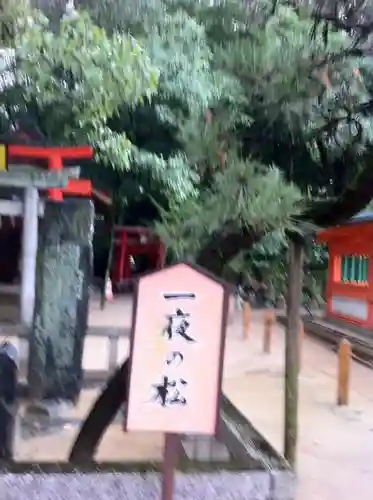 住吉神社の自然