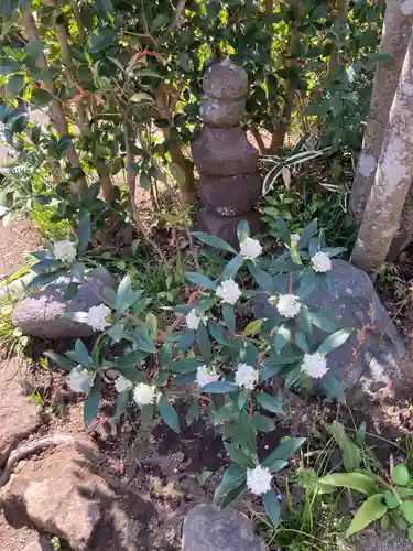 光照寺(神奈川県)