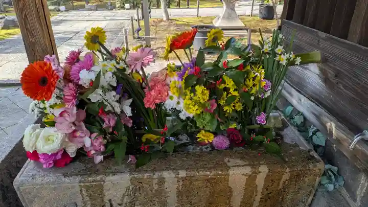 勝林寺(京都府)