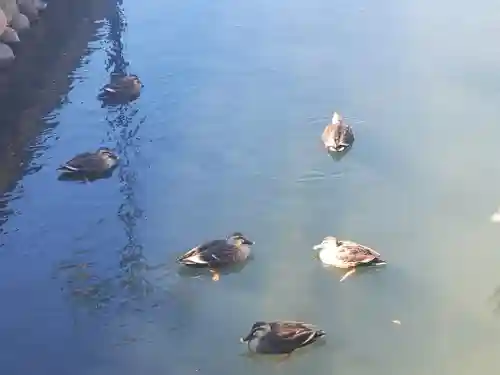 鑁阿寺(栃木県)