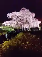 瀧桜神明宮(福島県)