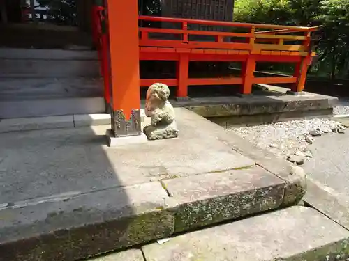 飯倉神社の狛犬