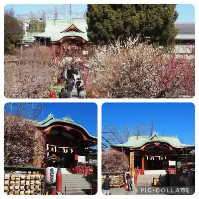 亀戸天神社(東京都)