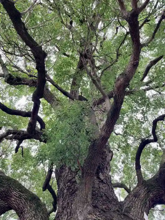 感應寺(東京都)