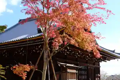 仁和寺のその他建物