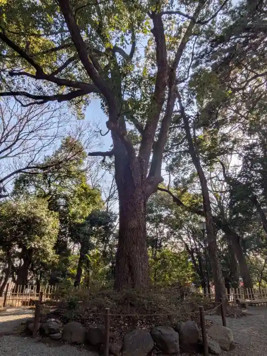 世田谷八幡宮(東京都)