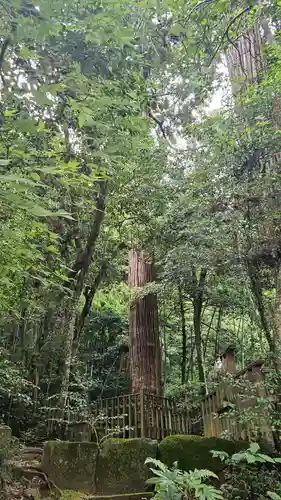 八重垣神社(島根県)
