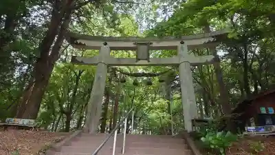 宝登山神社奥宮の鳥居