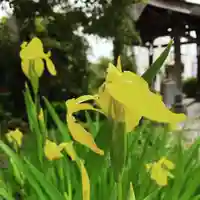 豊景神社の自然